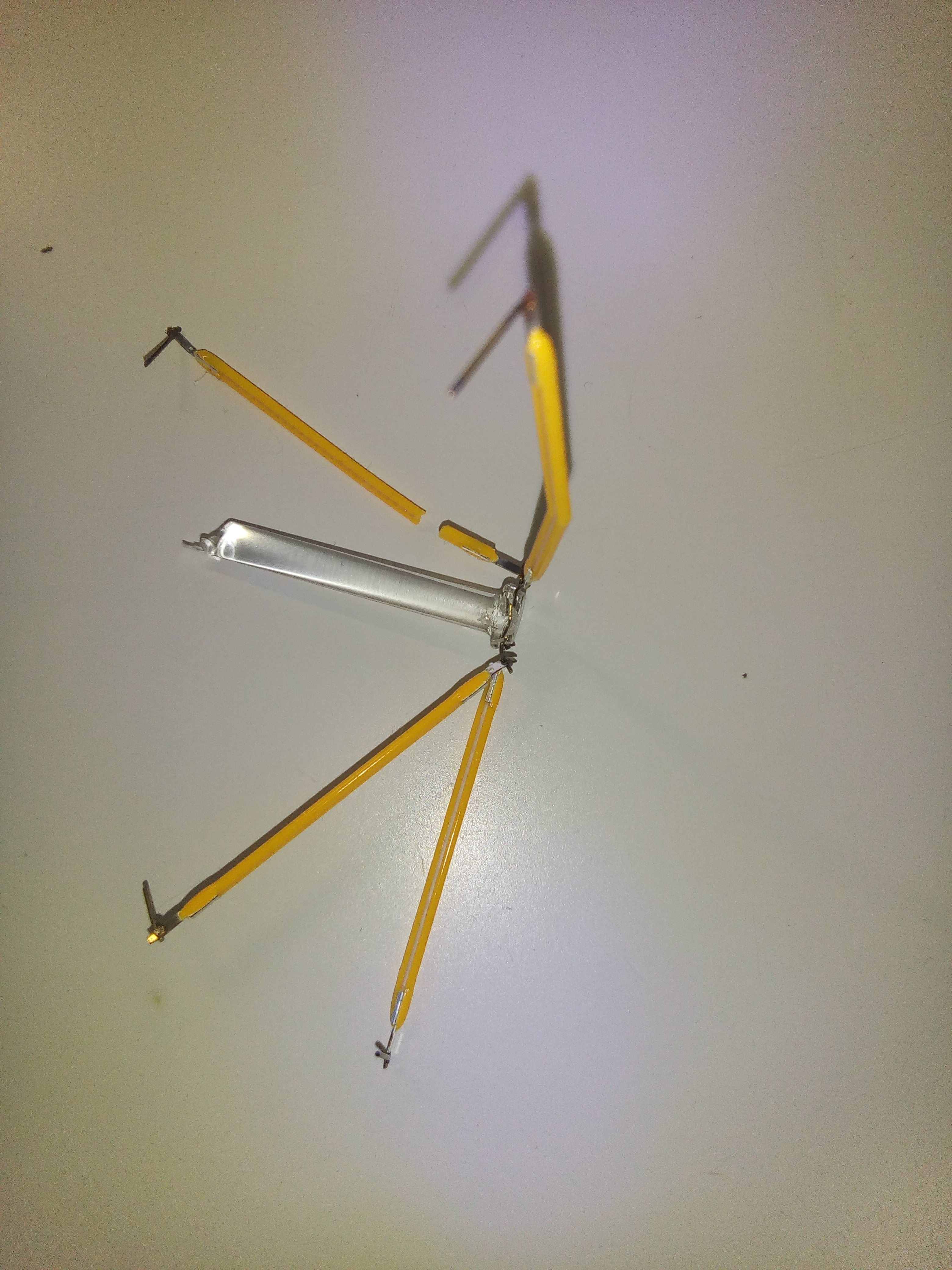 IMG_20171001_224224[1]