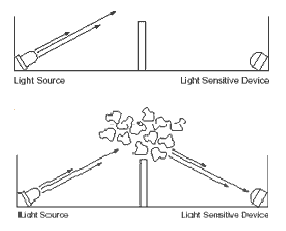 sesnor.png