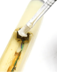 neutralizar-el-acido-de-un-portapilas