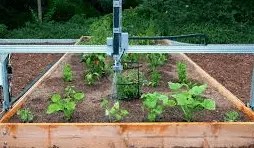 2024 04 06 19 27 33 Construya su huerto robotico   Buscar con Google y 6 páginas más   Personal  Mic