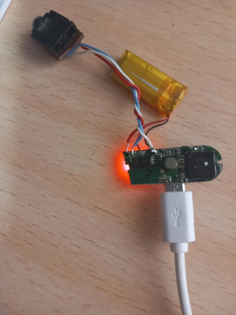 aspecto de la adapatacion